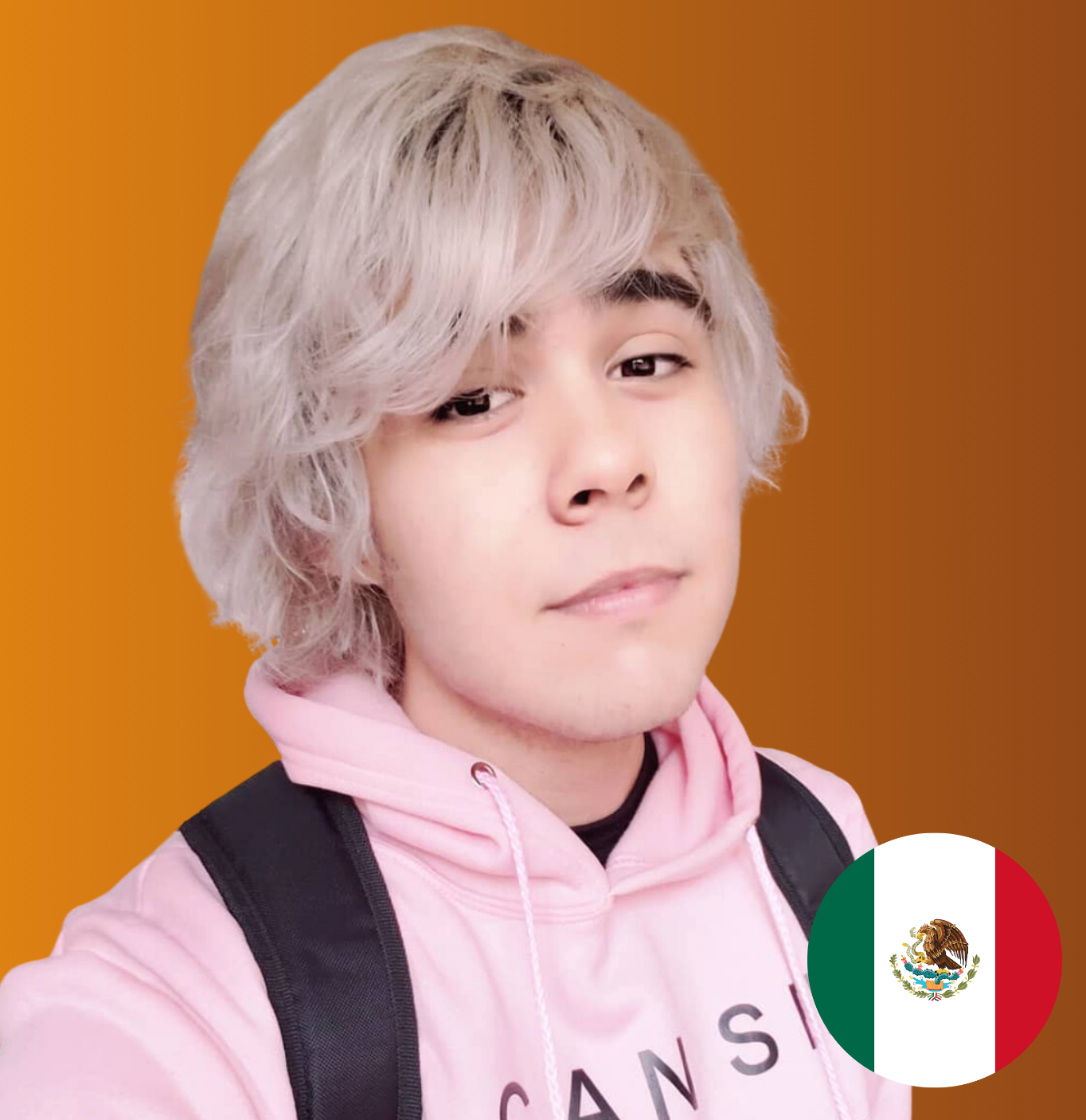 Who Is Silvio Gamer Favikon